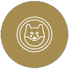 Meme coin